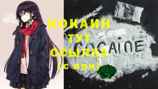 соль курить ск Горно-Алтайск