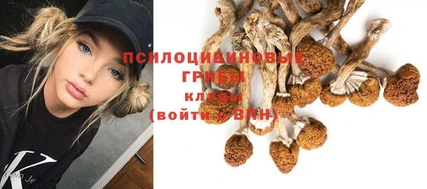 соль курить ск Горно-Алтайск