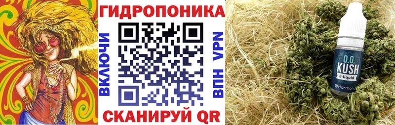 Бошки Шишки сатива  Купить закладки  Орехово-Зуево 